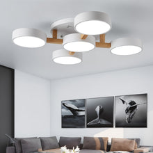 Carregar imagem no visualizador da galeria, Ashane Ceiling Light
