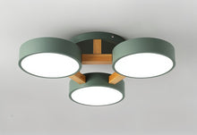 Cargar imagen en el visor de la galería, Ashane Ceiling Light
