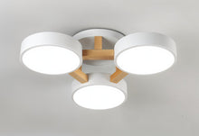 Cargar imagen en el visor de la galería, Ashane Ceiling Light
