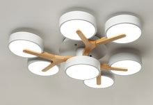 Carregar imagem no visualizador da galeria, Ashane Ceiling Light
