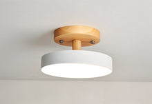 Cargar imagen en el visor de la galería, Ashane Ceiling Light
