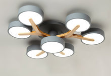 Carregar imagem no visualizador da galeria, Ashane Ceiling Light
