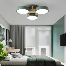 Cargar imagen en el visor de la galería, Ashane Ceiling Light
