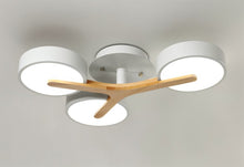 Carregar imagem no visualizador da galeria, Ashane Ceiling Light
