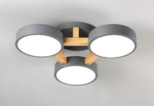 Carregar imagem no visualizador da galeria, Ashane Ceiling Light
