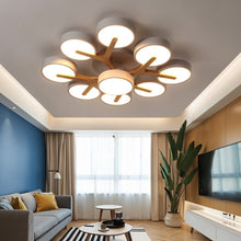 Carregar imagem no visualizador da galeria, Ashane Ceiling Light
