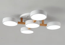 Carregar imagem no visualizador da galeria, Ashane Ceiling Light
