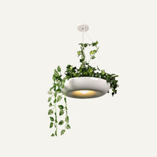 Load image into Gallery viewer, Aula Pendant Light
