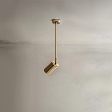 Carregar imagem no visualizador da galeria, Aurea Ceiling Light
