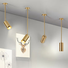 Carregar imagem no visualizador da galeria, Aurea Ceiling Light
