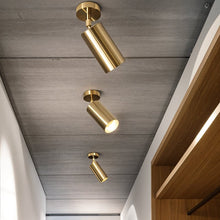 Carregar imagem no visualizador da galeria, Aurea Ceiling Light
