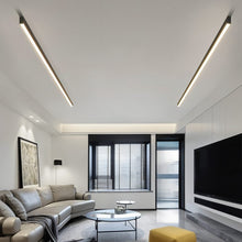 Carregar imagem no visualizador da galeria, Azora Ceiling Light
