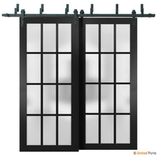 Carregar imagem no visualizador da galeria, Felicia 3312 Matte Black Double Barn Door with Frosted Glass and Black Bypass Rail
