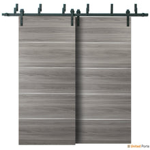 Cargar imagen en el visor de la galería, Planum 0020 Ginger Ash Double Barn Door and Black Bypass Rail
