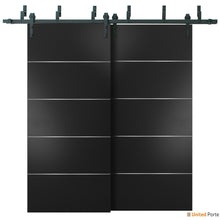 Load image into Gallery viewer, Planum 0020 Matte Black Double Barn Door and Black Bypass Rail
