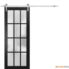 Carregar imagem no visualizador da galeria, Felicia 3312 Matte Black Barn Door with Frosted Glass and Silver Rail
