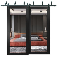 Cargar imagen en el visor de la galería, Lucia 1299 Matte Black Double Barn Door with Mirror Glass and Black Bypass Rail
