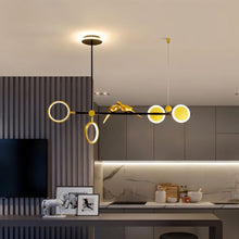 Cargar imagen en el visor de la galería, Birdo Pendant Lamp
