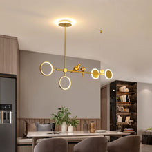 Carregar imagem no visualizador da galeria, Birdo Pendant Lamp
