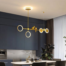 Carregar imagem no visualizador da galeria, Birdo Pendant Lamp
