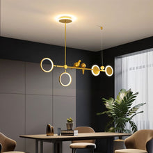 Cargar imagen en el visor de la galería, Birdo Pendant Lamp
