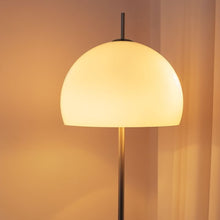 Load image into Gallery viewer, Canton Floor Lamp
