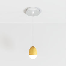 Carregar imagem no visualizador da galeria, Castanea Pendant Light
