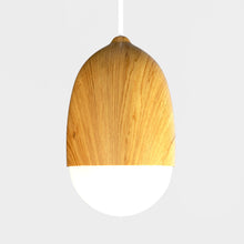 Carregar imagem no visualizador da galeria, Castanea Pendant Light
