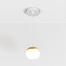 Carregar imagem no visualizador da galeria, Castanea Pendant Light
