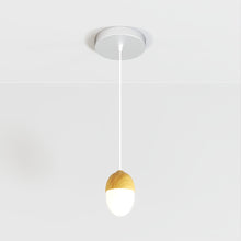 Carregar imagem no visualizador da galeria, Castanea Pendant Light
