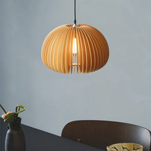 Carregar imagem no visualizador da galeria, Cucurbita Pendant Light
