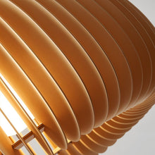 Carregar imagem no visualizador da galeria, Cucurbita Pendant Light
