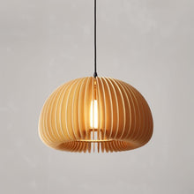 Carregar imagem no visualizador da galeria, Cucurbita Pendant Light
