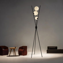 Carregar imagem no visualizador da galeria, Daince Floor Lamp
