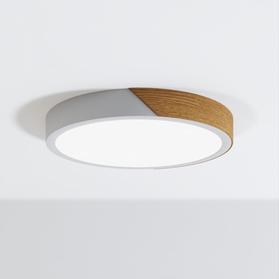 Delphi Ceiling Light