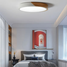 Carregar imagem no visualizador da galeria, Delphi Ceiling Light
