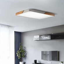 Carregar imagem no visualizador da galeria, Delphi Ceiling Light
