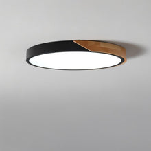 Carregar imagem no visualizador da galeria, Delphi Ceiling Light
