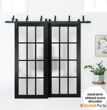 Carregar imagem no visualizador da galeria, Felicia 3312 Matte Black Double Barn Door with Frosted Glass and Black Bypass Rail
