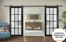 Carregar imagem no visualizador da galeria, Felicia 3312 Matte Black Double Barn Door with Frosted Glass and Black Rail
