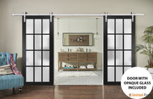 Load image into Gallery viewer, Felicia 3312 Matte Black Double Barn Door with Frosted Glass and Silver Rail
