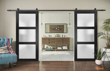 Cargar imagen en el visor de la galería, Lucia 2552 Matte Black Double Barn Door with Frosted Glass | Black Rail
