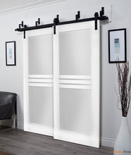 Load image into Gallery viewer, Mela 7222 White Silk Barn Doors with 4 Lites Frosted Glass | Black Bypass Rail
