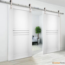 Cargar imagen en el visor de la galería, Mela 7444 White Silk Double Barn Door | Silver Finish Rail
