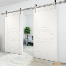 Load image into Gallery viewer, Mela 7001 Matte White Double Barn Door | Silver Finish Rail
