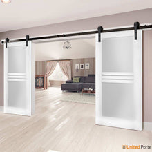 Load image into Gallery viewer, Mela 7222 White Silk Double Barn Door with 4 Lites Frosted Glass | Black Rail
