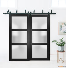 Cargar imagen en el visor de la galería, Lucia 2552 Matte Black Double Barn Door with Frosted Glass | Black Bypass Rails
