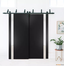 Carregar imagem no visualizador da galeria, Planum 0040 Matte Black Double Barn Door with White Glass and Black Bypass Rail
