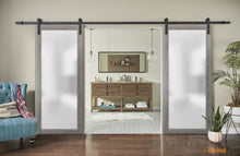 Carregar imagem no visualizador da galeria, Planum 2102 Ginger Ash Double Barn Door with Frosted Glass | Black Rail
