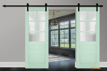 Cargar imagen en el visor de la galería, Veregio 7339 Oliva Double Barn Door with Frosted Glass and Black Rail
